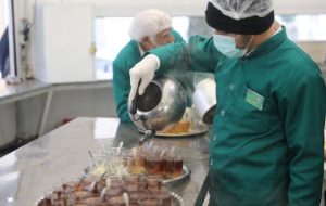 پنجمین روز خدمت‌رسانی موکب شمیم کربلا رفسنجان به زائرین امام رضا(ع)